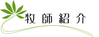 qtЉ
